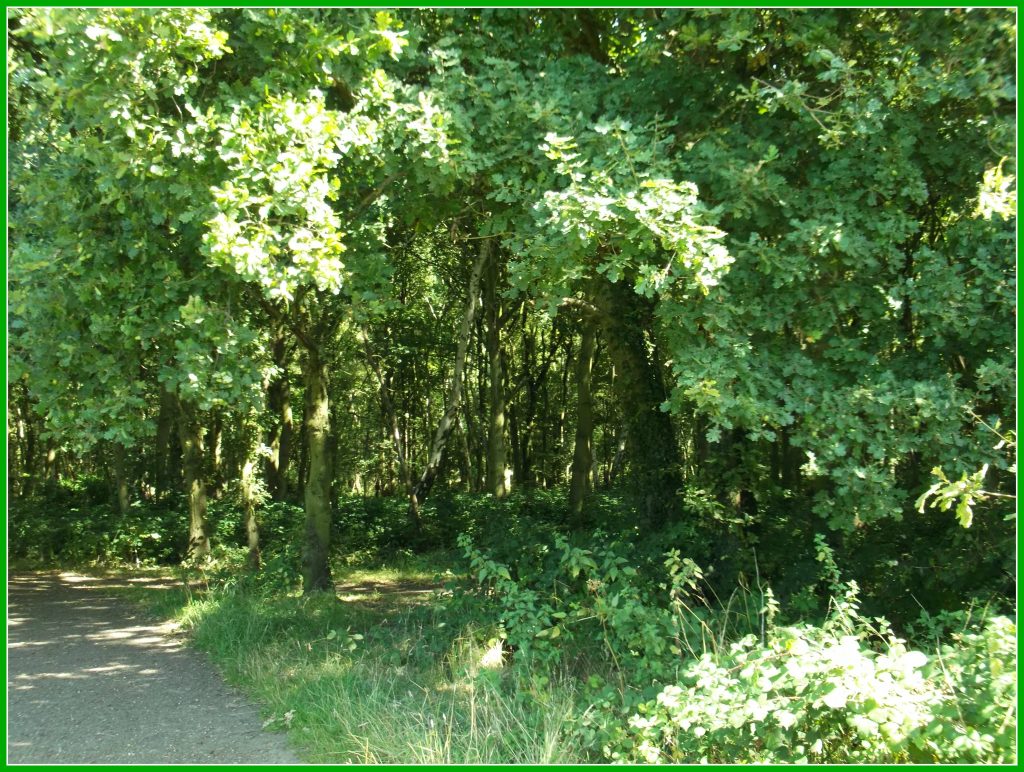 green1