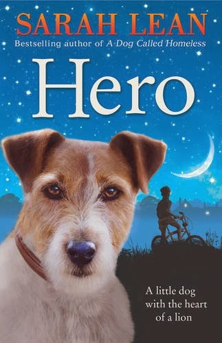 hero sarah lean