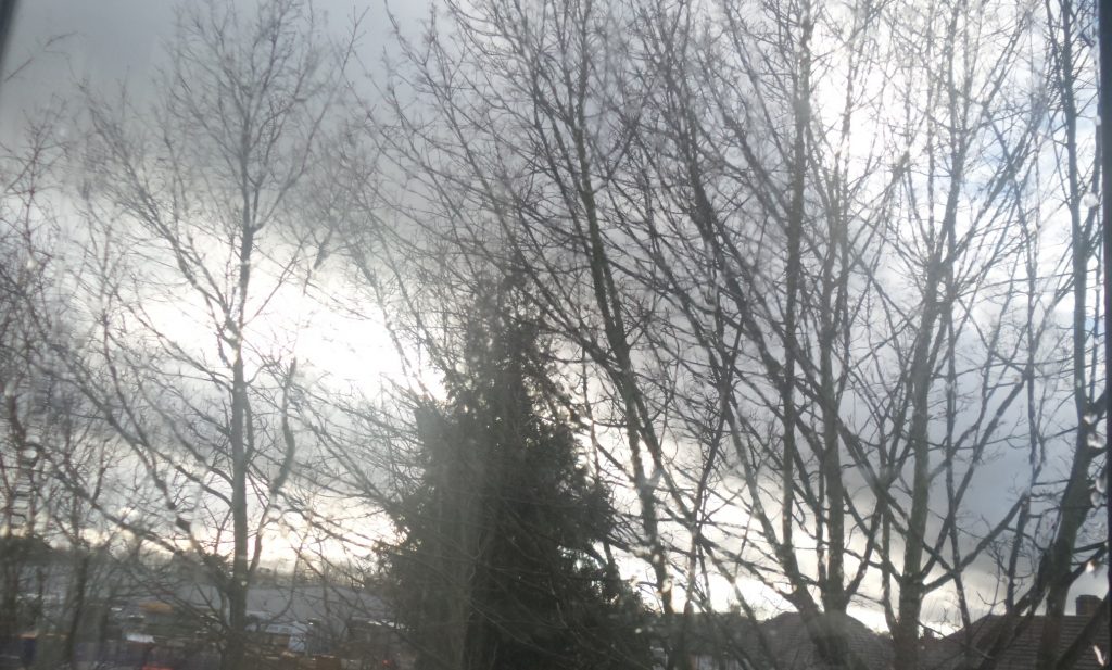 20150113_131609