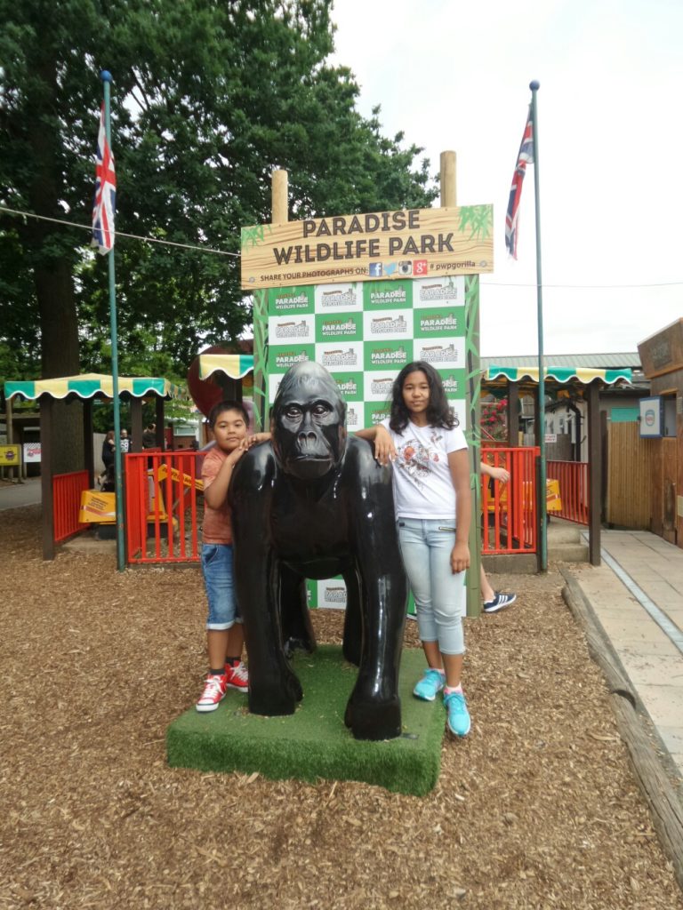 20160619_113734_resized